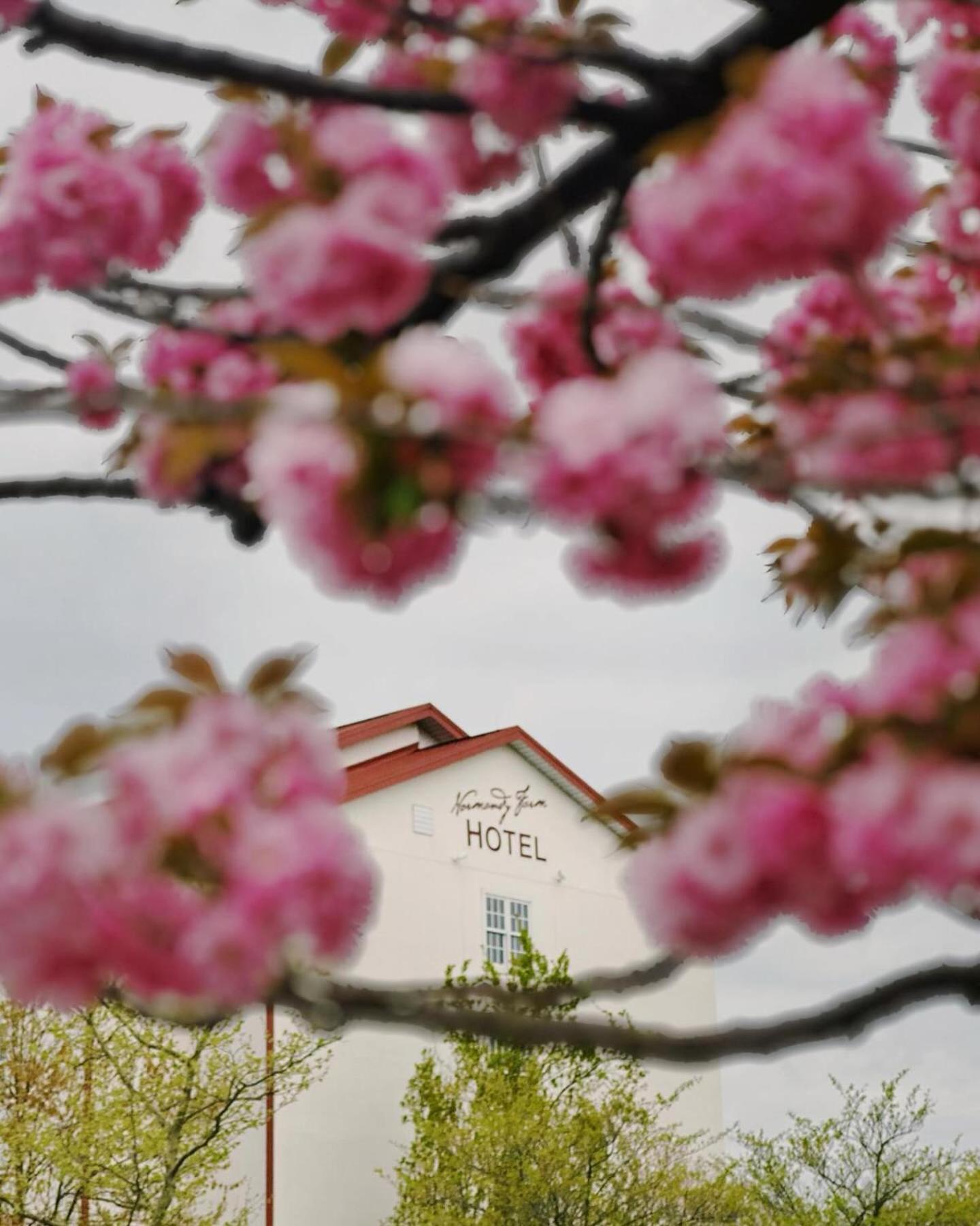 Normandy Farm Hotel & Conference Center Blue Bell Exterior foto